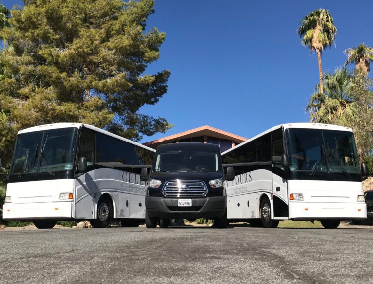 three tour buses