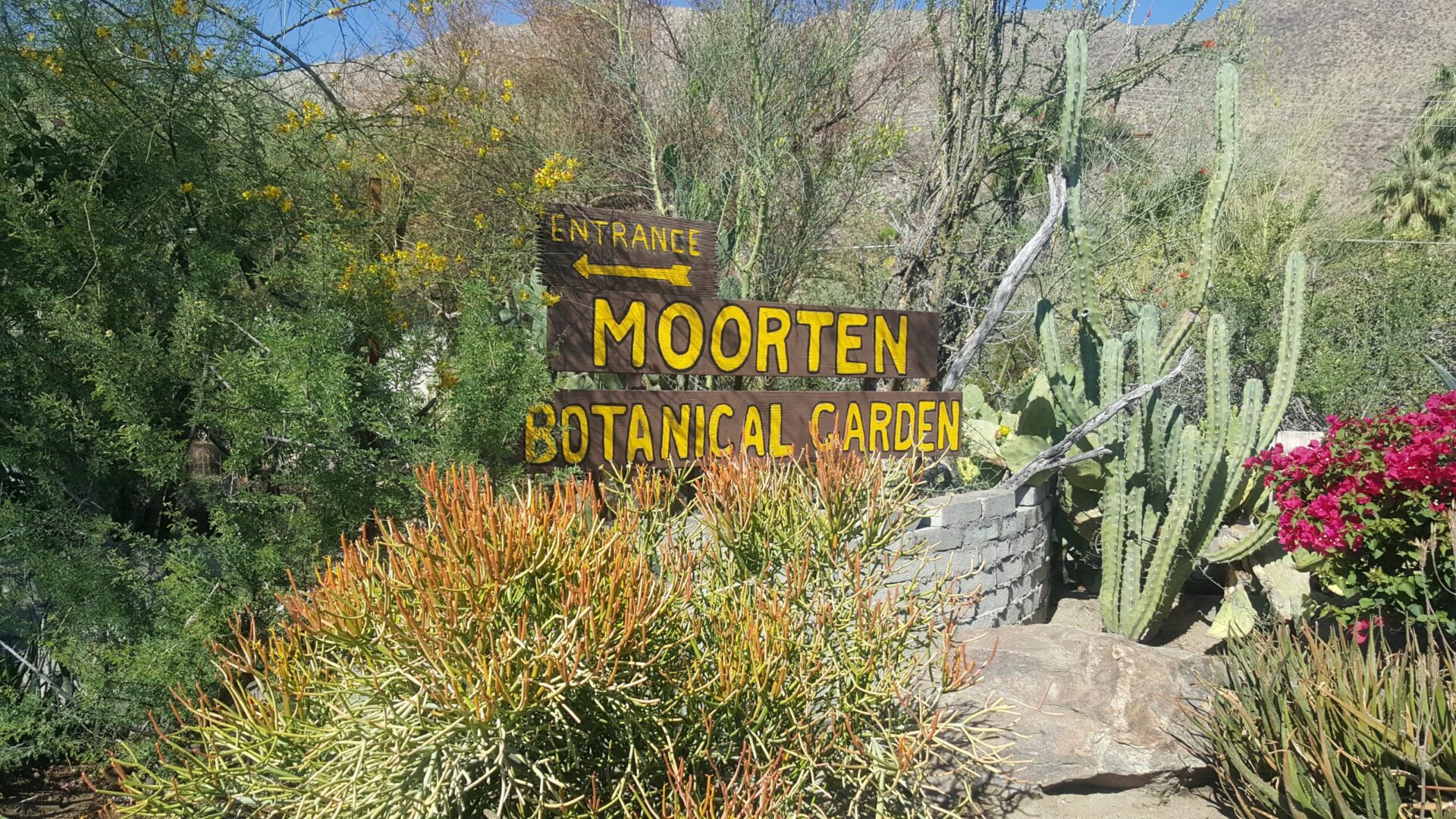 Moorten's sign