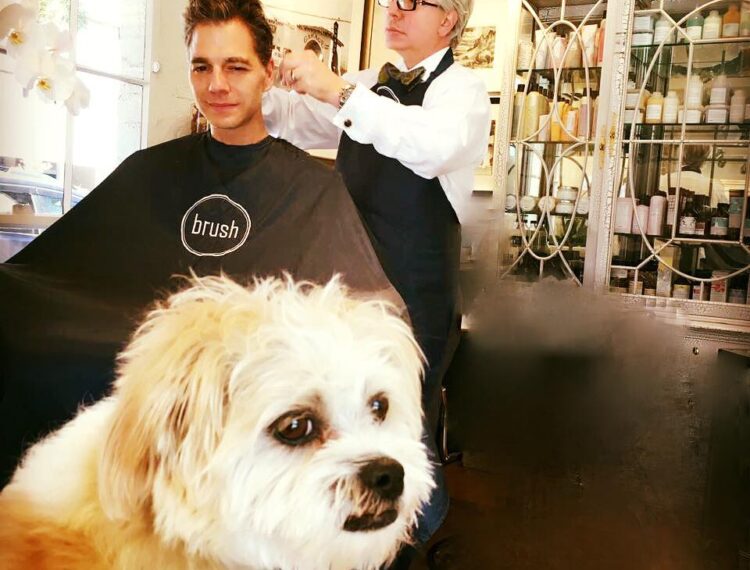 man getting haircut with dog in picture
