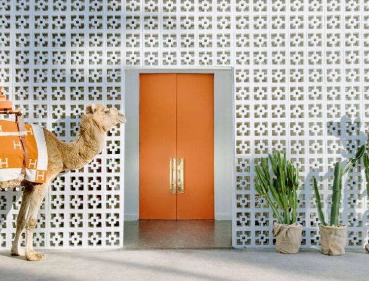 Camel in front of Parker Palm Springs iconic orange door