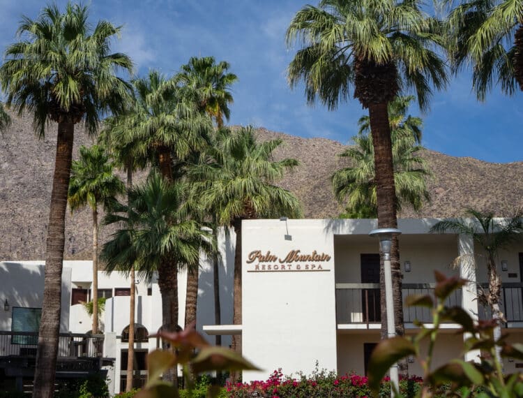 Palm Mountain Resort,
