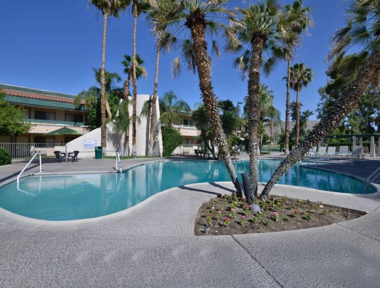 Travelodge Palm Springs pool and palm trees