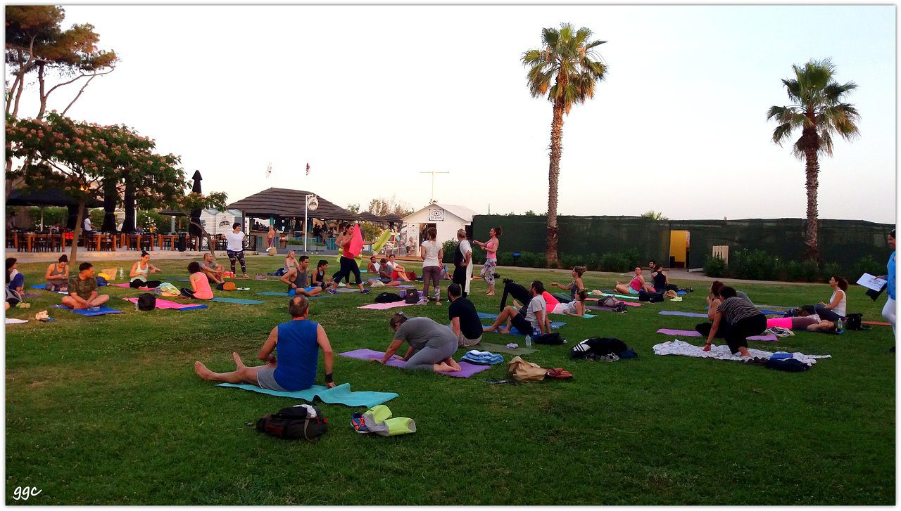 people having yoga class in the park