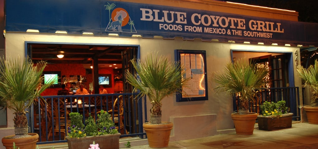 blue coyote