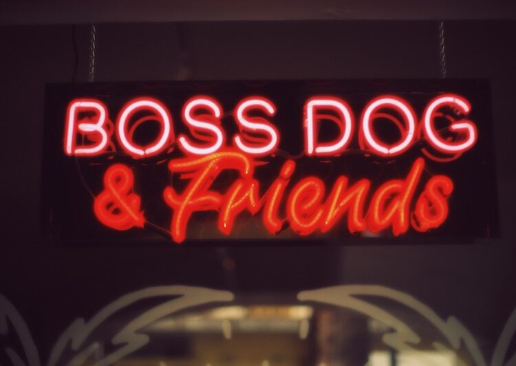 Boss Dog and Friends