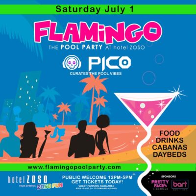 Flamingo Pool Party with PICO