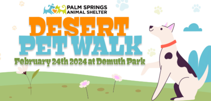 Desert Pet Walk