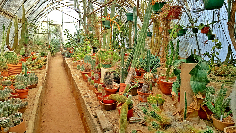 Moorten's Botanical Garden